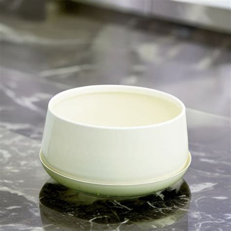 Off White round Metal Pot With Tray — Plant N Pots