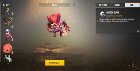 5 best Garena Free Fire pet combinations with Chrono