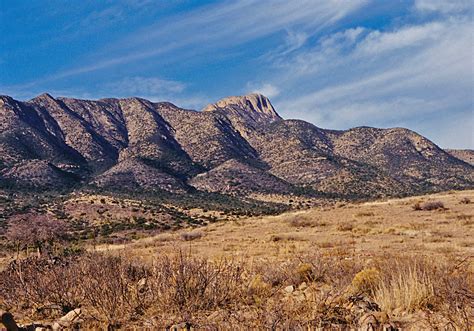 New Mexico Ranges, primary table