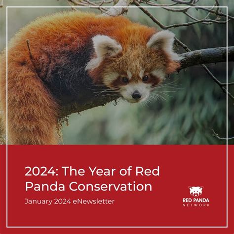 In this issue of Red Panda Network eNews: How we're improving local ...