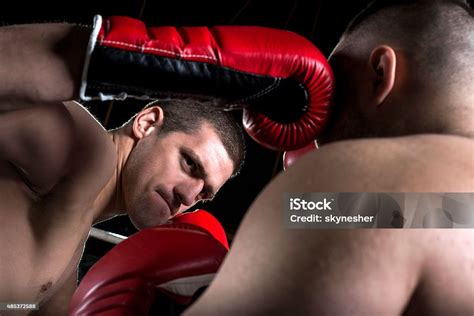 Boxing Match Back View Shot 的图像结果