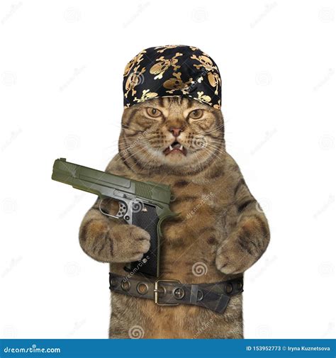 Cat As Gun