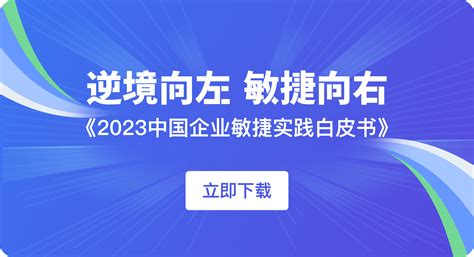 Image result for PingCode Features