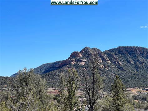 Undeveloped Land 的图像结果
