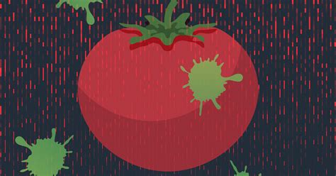 Rotten Tomato Pictures, Images and Stock Photos - iStock