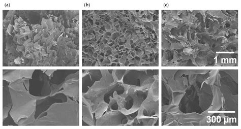 Comparing the Printability, Biological and Physicochemical Properties ...