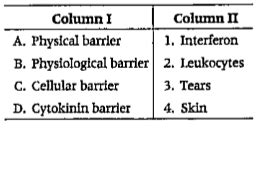 Match the following columns.