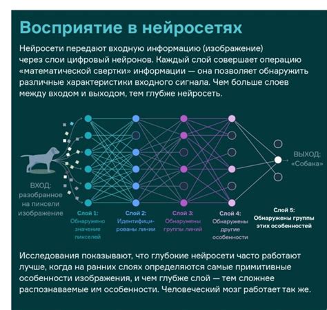 Топ-17 нейросетей по обработке изображений, фото, картинок