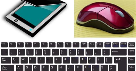 Image result for Input Devices for a Computer