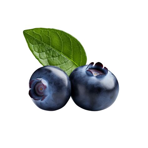 AI generated Blueberry clip art 40189845 PNG
