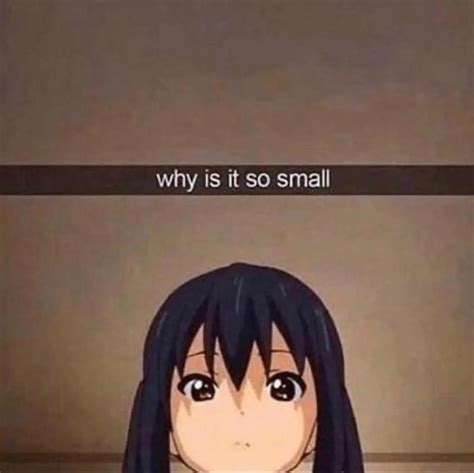 why is it so small : r/animememes