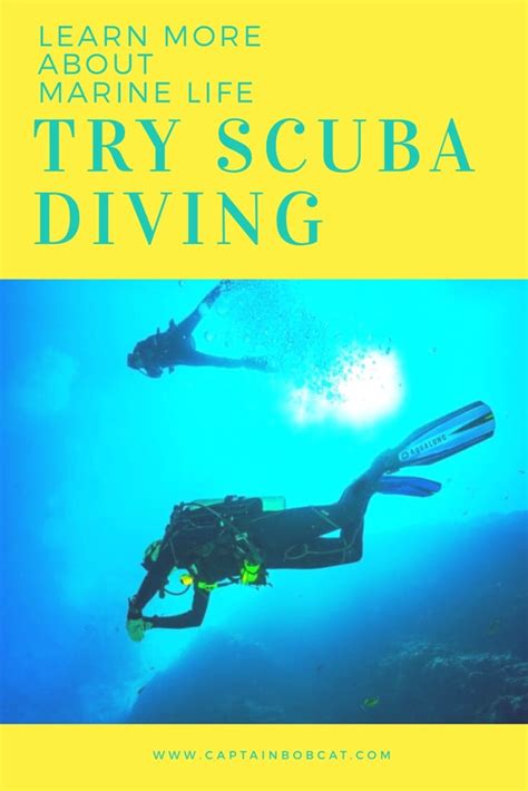 Scuba Diving 的图像结果