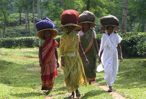 Local People Meaning 的图像结果