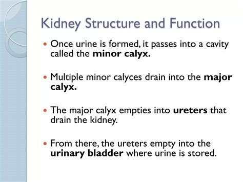 17 Osmoregulation II PPT.pdf