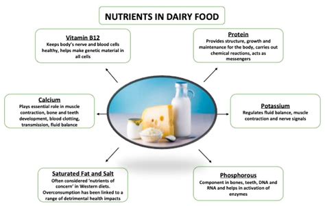 Dairy Consumption and Metabolic Health