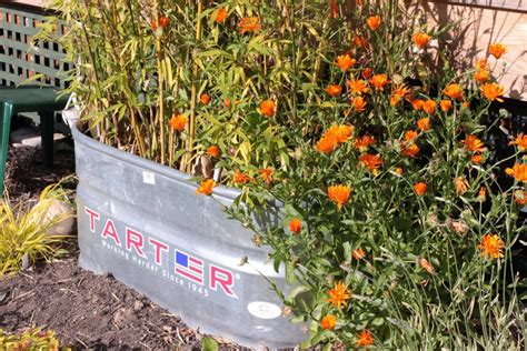 Galvanized Water Trough Planters • Insteading