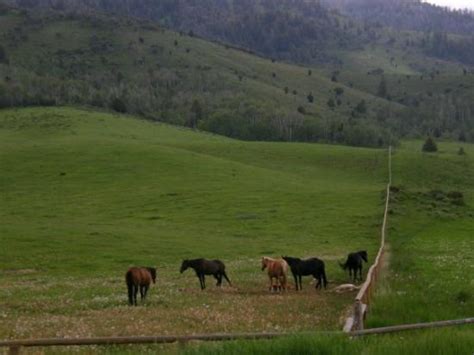 Swan Valley Tourism (2024): Best of Swan Valley, ID - Tripadvisor