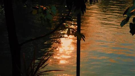 Image result for Water Light Reflection