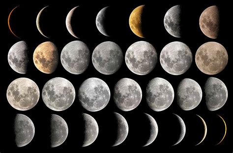 Free Moon Phases Cliparts, Download Free Moon Phases Cliparts png images, Free ClipArts on ... - Moon Phases Clip Art
