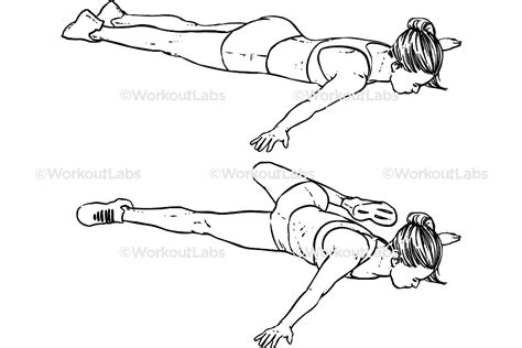 Image result for Scorpion Stretch Tutorial