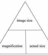 magnification 的图像结果