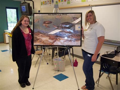 NORTH MYRTLE BEACH SEA TURTLE PATROL: North Myrtle Beach Elementary School