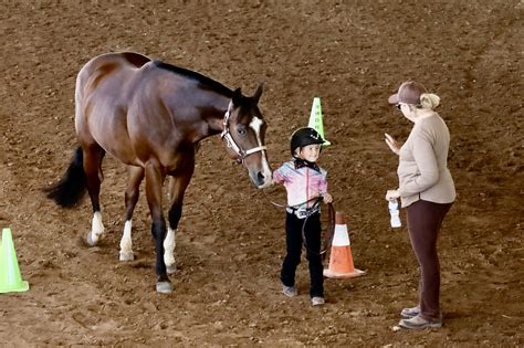NMQHA – NEW MEXICO QUARTER HORSE ASSOCIATION