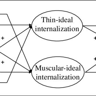 Internet Users Body Prediction 的图像结果