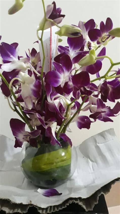 BloomsVilla — Improper delivery