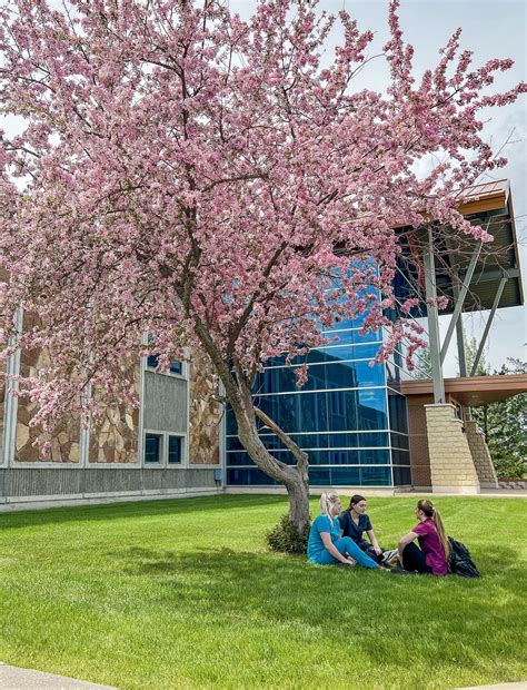 Great Falls College Montana State University - Great Falls, MT