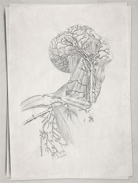 Image result for Alien Covenant David's Experiments