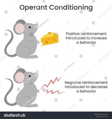 Operant Conditioning Educational Vector Illustration Infographic Stock Vector (Royalty Free ...