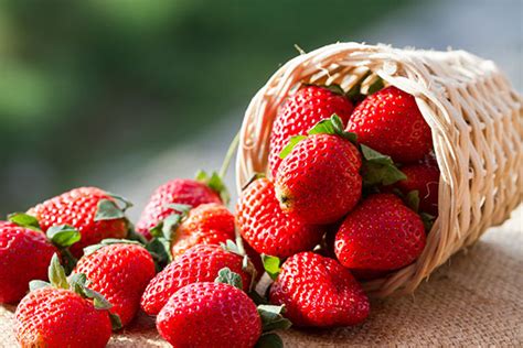 6 Strawberry Based Face Mask For Glowing Skin – Joybynature.com