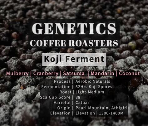 SINGLE ORIGINS – Genetics Coffee