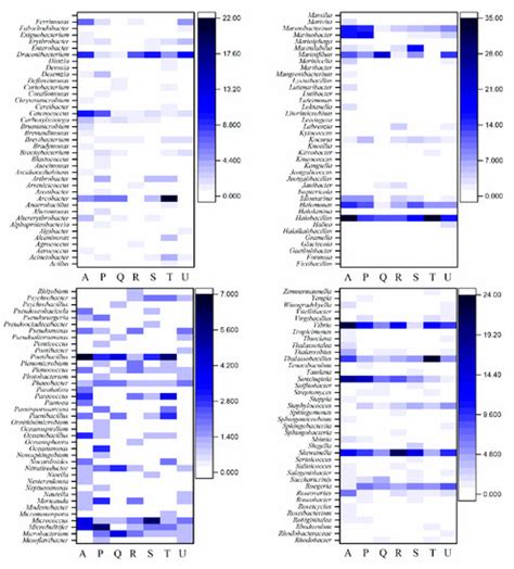 Effects of Antibiotics on the Bacterial Community, Metabolic Functions ...