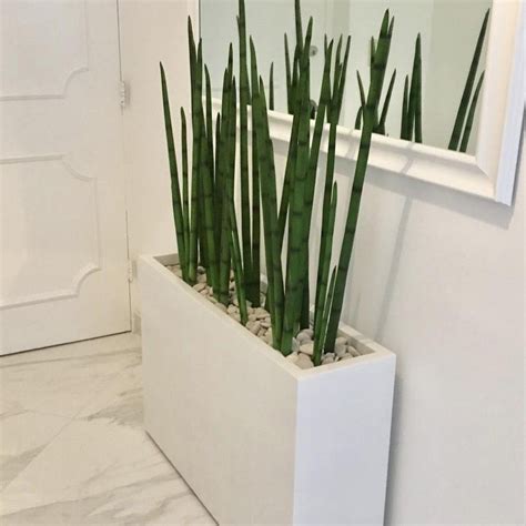 Highlighted by sleek lines & a smooth finish, the Milano Rectangular ...