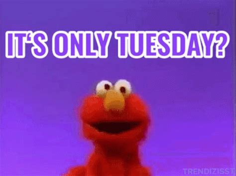 Funny It's Only Tuesday GIFs | GIFDB.com