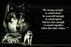 Lone Wolf Quotes Hd Wallpaper by Wolf Wisdom 112949 High Quality And Resolution Lone Wolf Quotes Hd Wallpaper