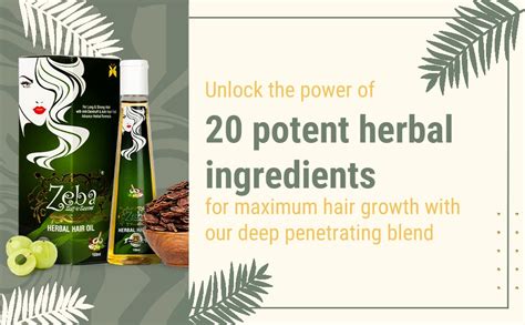 Buy Zeba Herbal Hair Oil, Hair care product for Men & Women, Oil Bottle ...