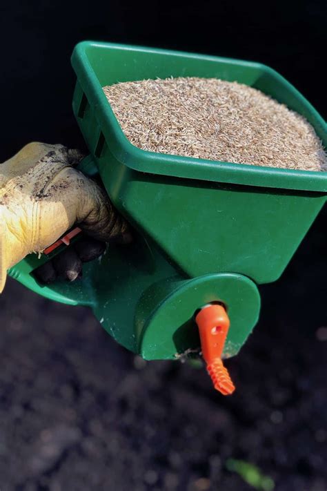 Planting Grass Seed on Hard Dirt - Tutorial | How to lay grass seed ...