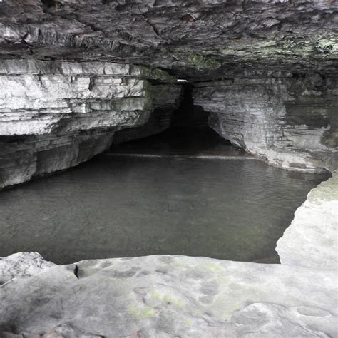 CAVE SPRING HOLLOW (2025) All You Need to Know BEFORE You Go (with ...