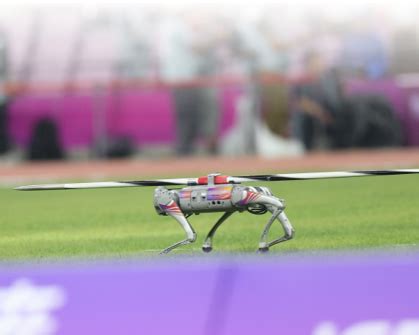 UniTree Robot Attack 的图像结果