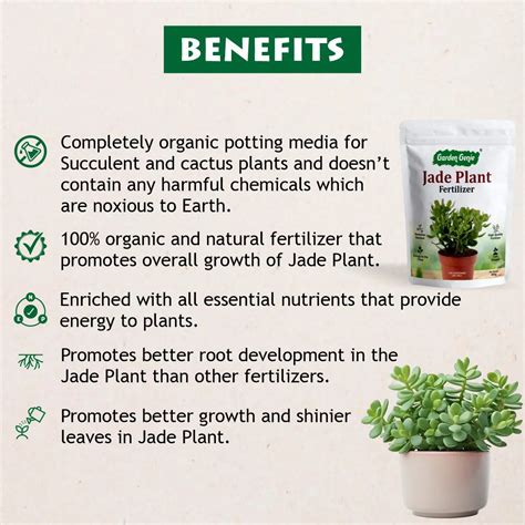 Organic fertilizers - Bougainvillea Fertilizer, Bloom fertilizer
