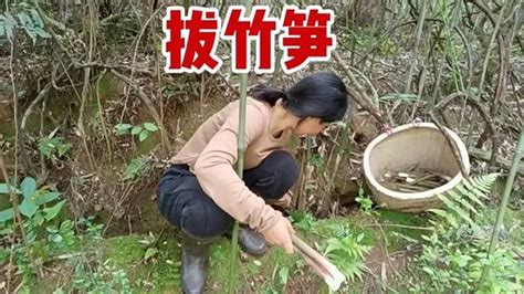 春笋可以吃了，农村宝妈上山拔笋，用竹笋做了一道酸辣可口的美食 - YouTube