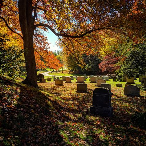 Fall colors in Western Mass. Springfield Cemetery, Springfield MA : r ...