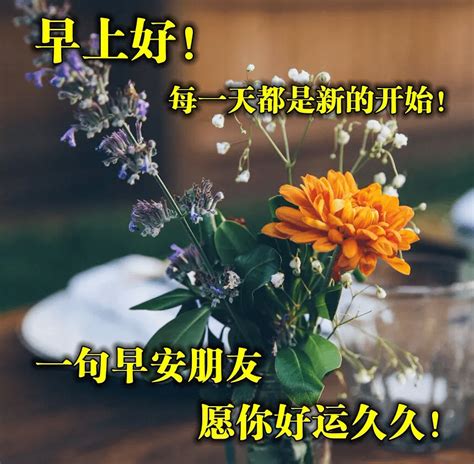 送给朋友超好看的早上好问候图片带字 2月春天早安问候祝福图片_男人