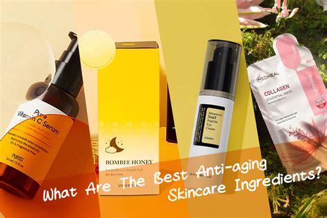 Unlock Younger-Looking, Plumper Skin: Top Skincare Tips – LAMOUR Beauty & Life