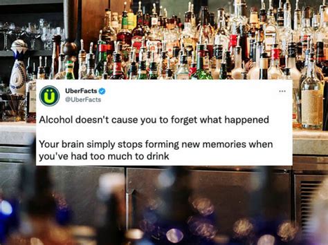 Crazy Fun Stuff 的图像结果