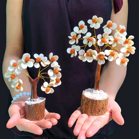 Buy VIBESLE Combo of Gomti Chakra Tree - Natural Original Energised ...