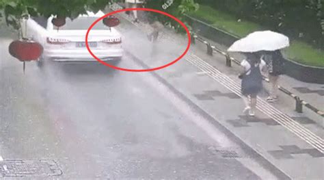 女子和男友走在路上，被路过的车溅一身水，男友幸灾乐祸哈哈大笑-搜狐大视野-搜狐新闻